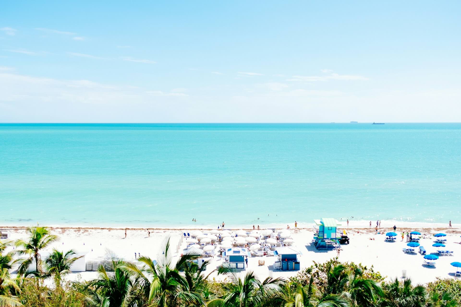 Why Locals Should Stay at the Bleau
