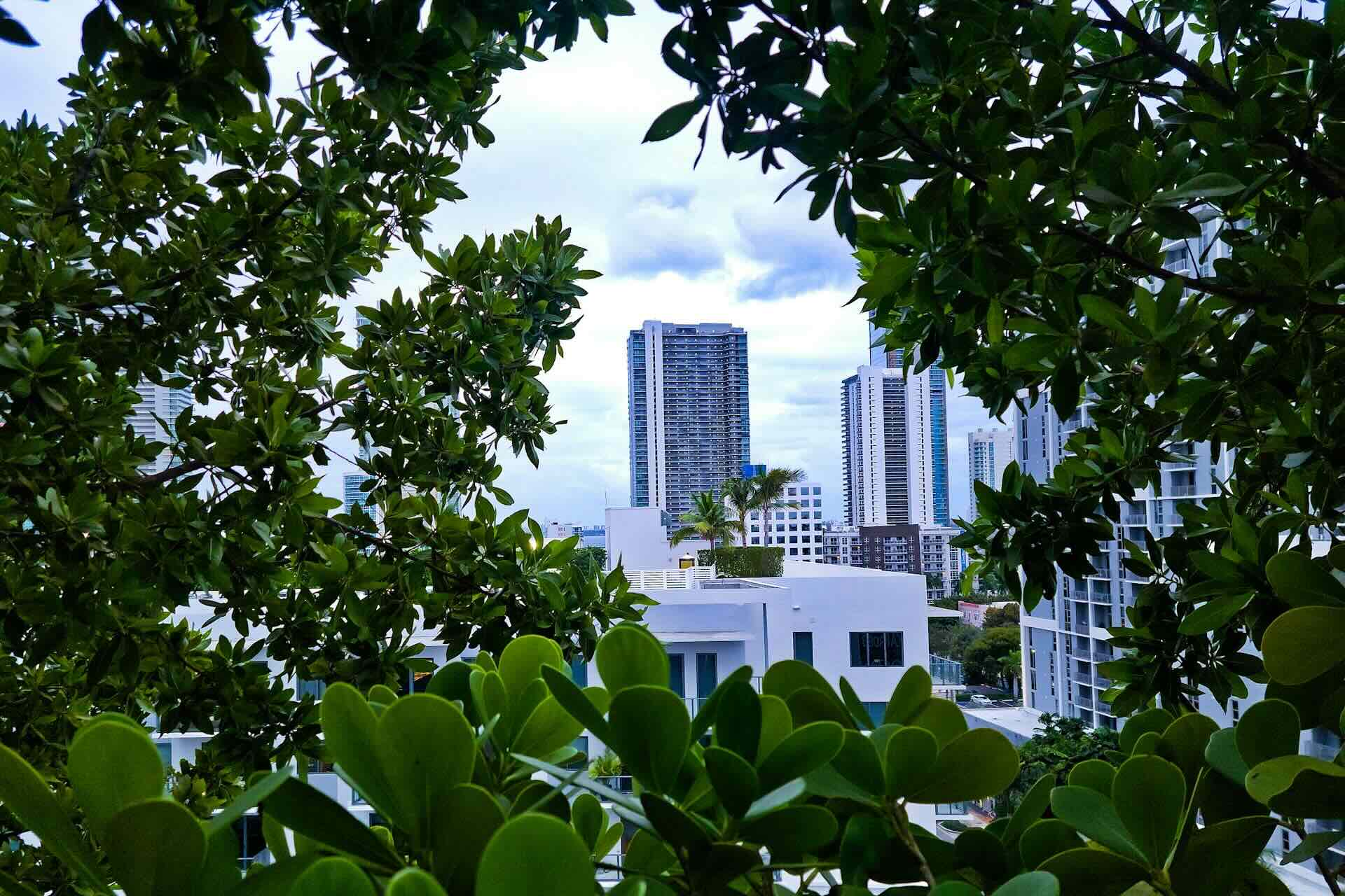 What Your Miami Neighborhood Says About You: Part 1