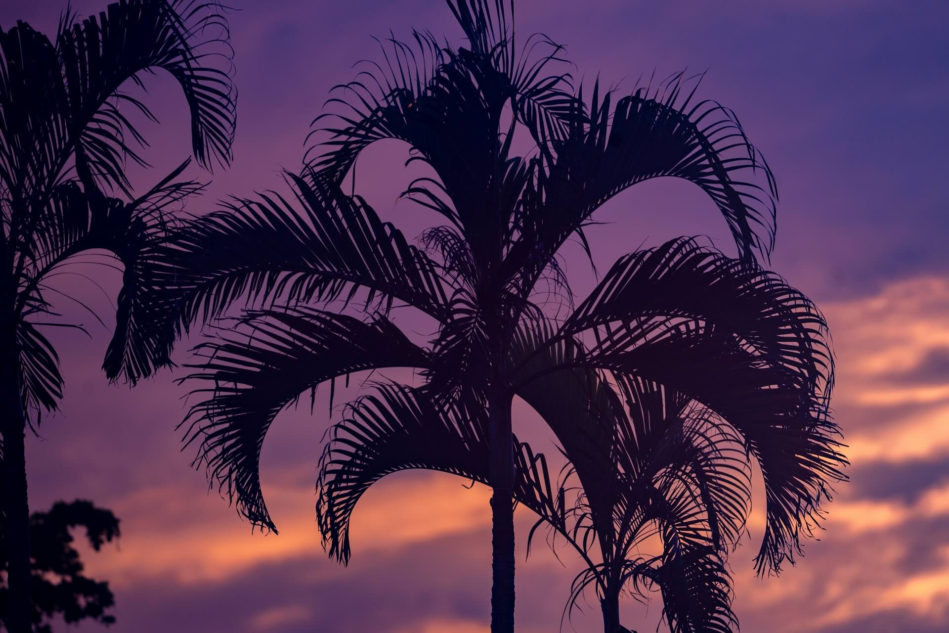 Why West Palm Beach Is Rising in South Florida’s Market