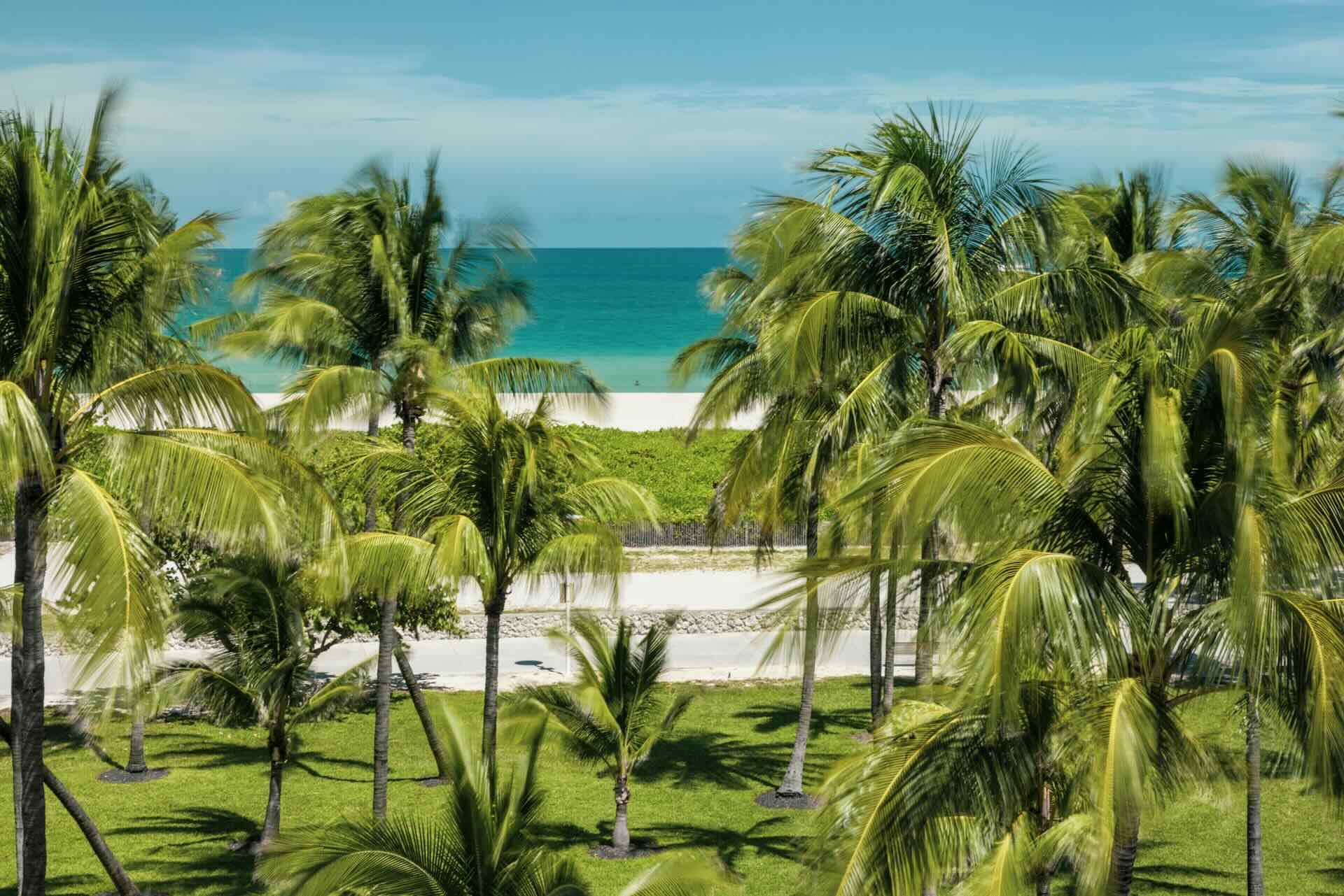 February 2026 Miami New Development Update