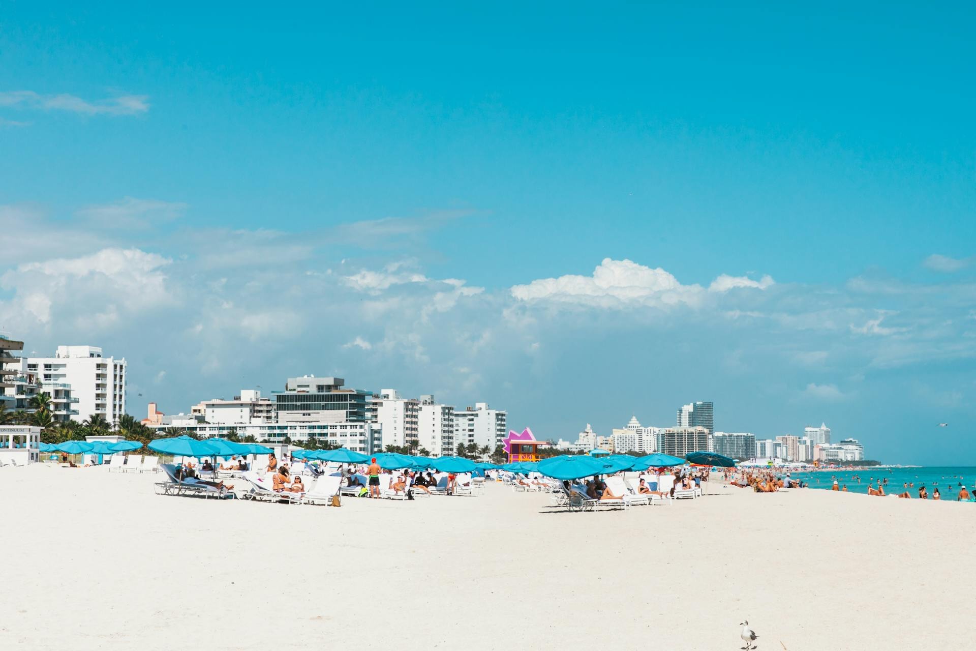 Short Term Rental Approved Miami Condos Around $250K