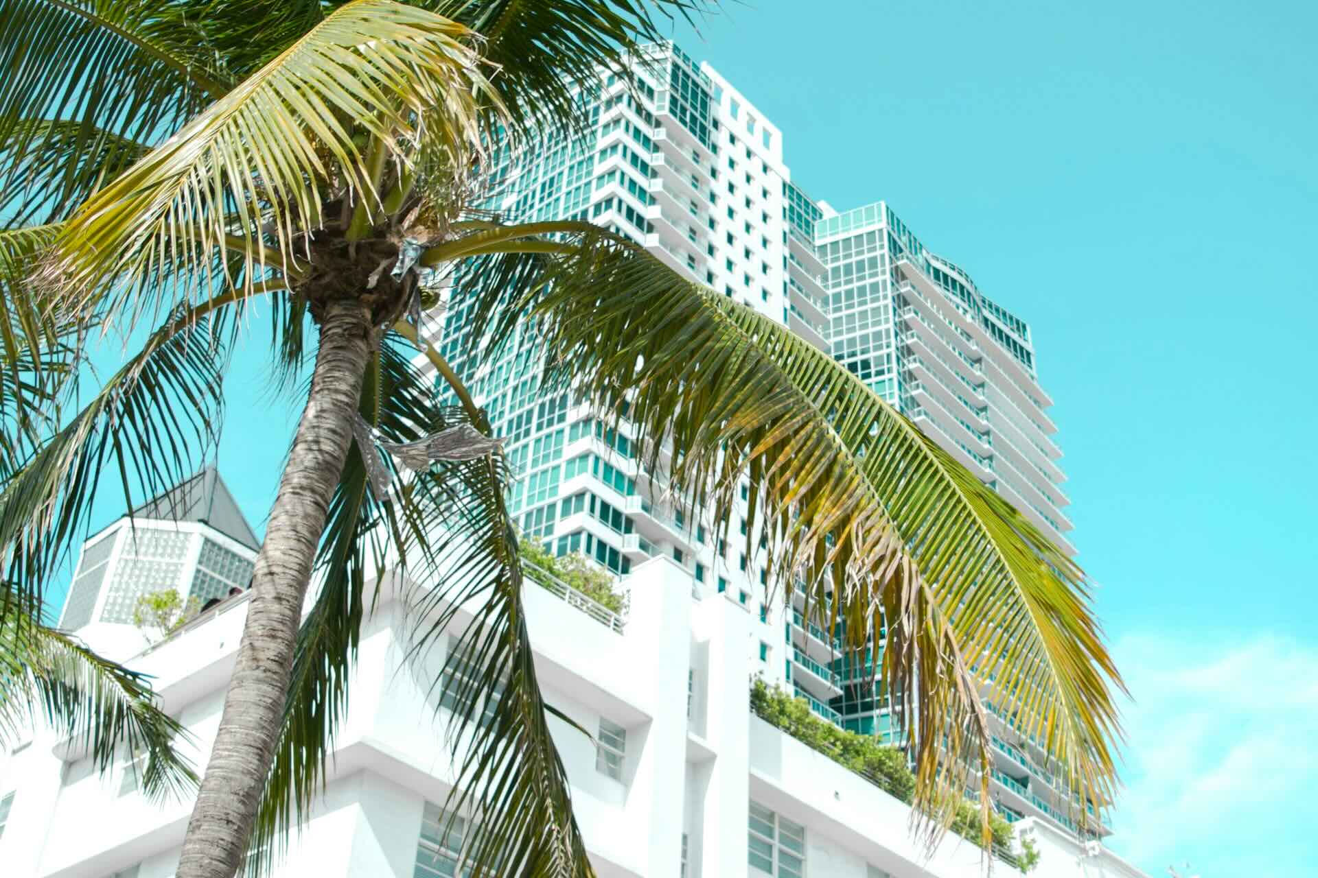Which Miami Condos Allow Short Term Rentals
