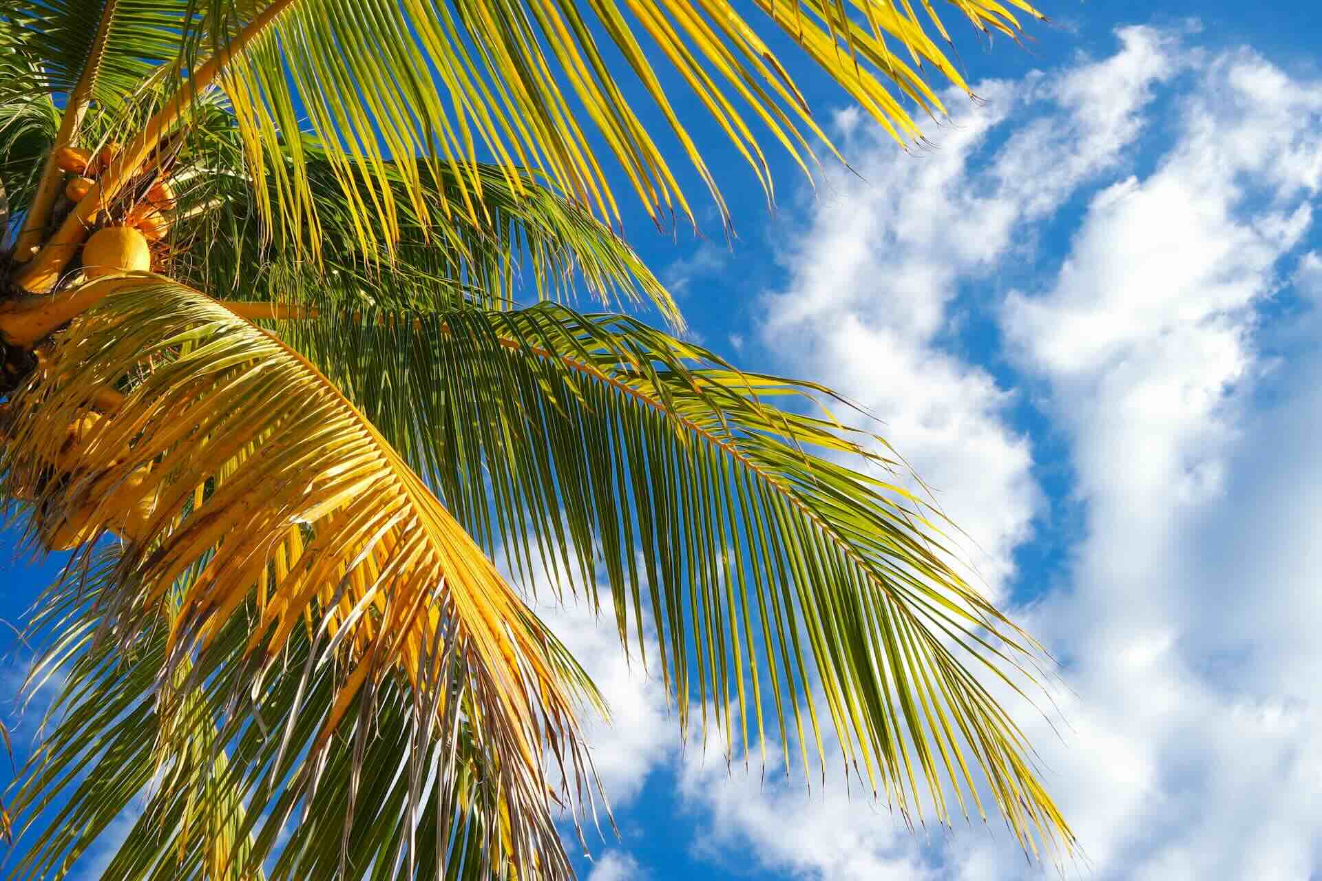 How Miami Compares to Other Coastal Lifestyle Cities