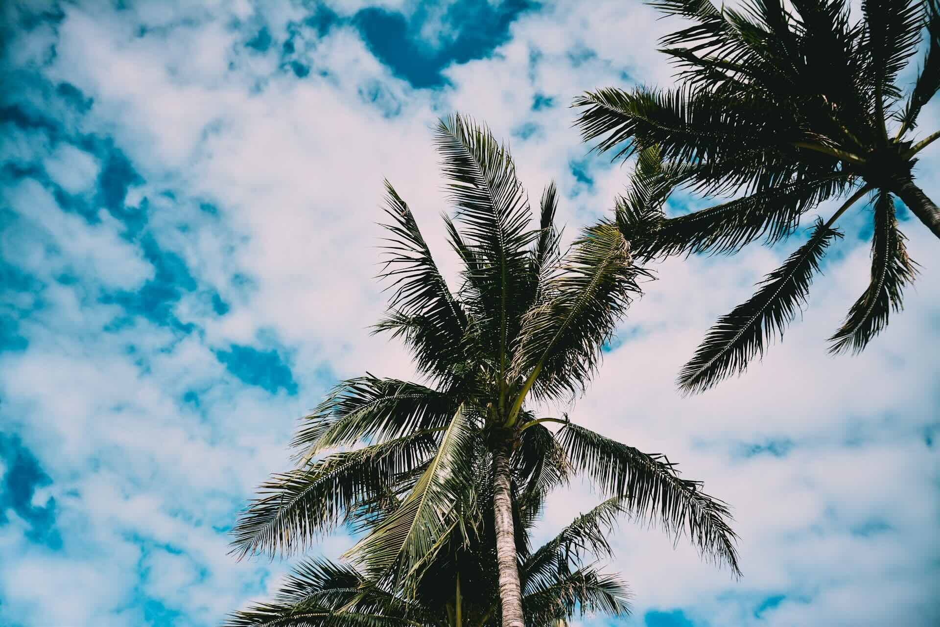 Why Many Buyers Test Miami Before Committing Long Term
